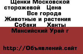 Щенки Московской сторожевой › Цена ­ 35 000 - Все города Животные и растения » Собаки   . Ханты-Мансийский,Урай г.